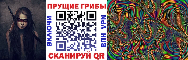 Псилоцибиновые грибы MAGIC MUSHROOMS  площадка наркотические препараты  Печора 