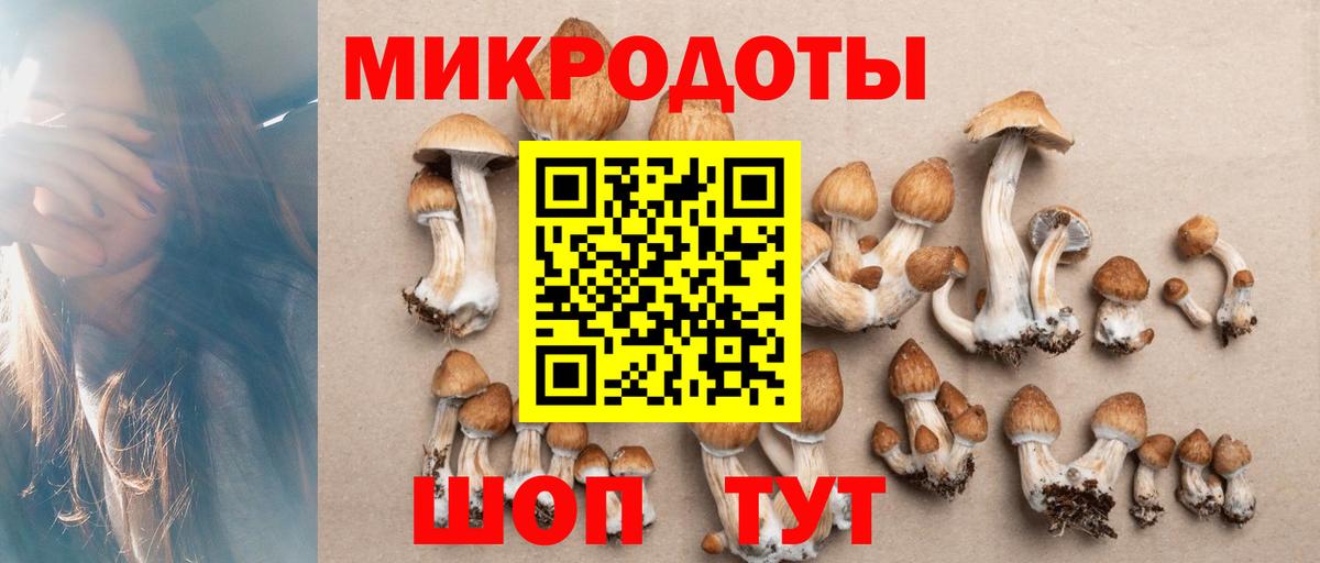 цена   Галлюциногенные грибы GOLDEN TEACHER  Вход с VPN  Печора 
