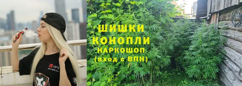 Марихуана SATIVA & INDICA  купить наркотик  Печора 