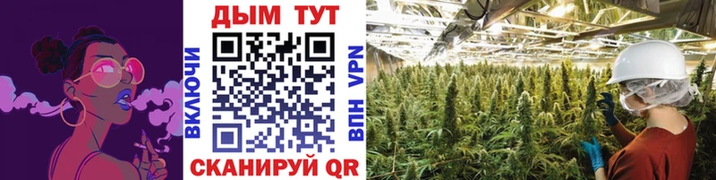 где продают наркотики  Печора  Канабис ГИДРОПОН 